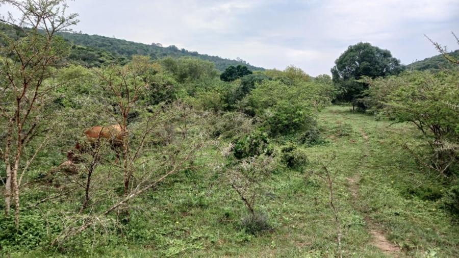 Commercial Property for Sale in Bathurst Rural Eastern Cape